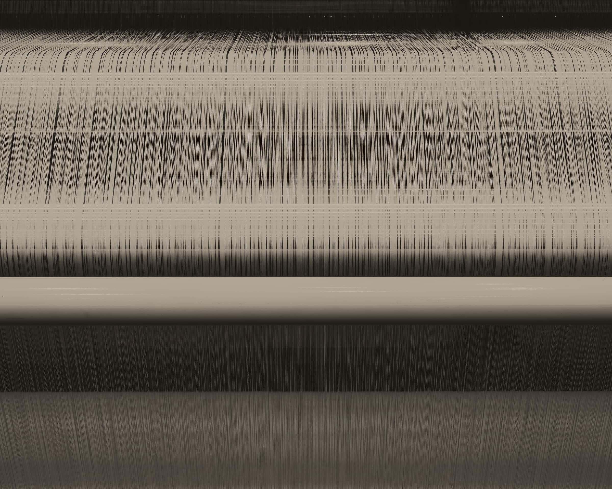 Warp threads drawn across a loom