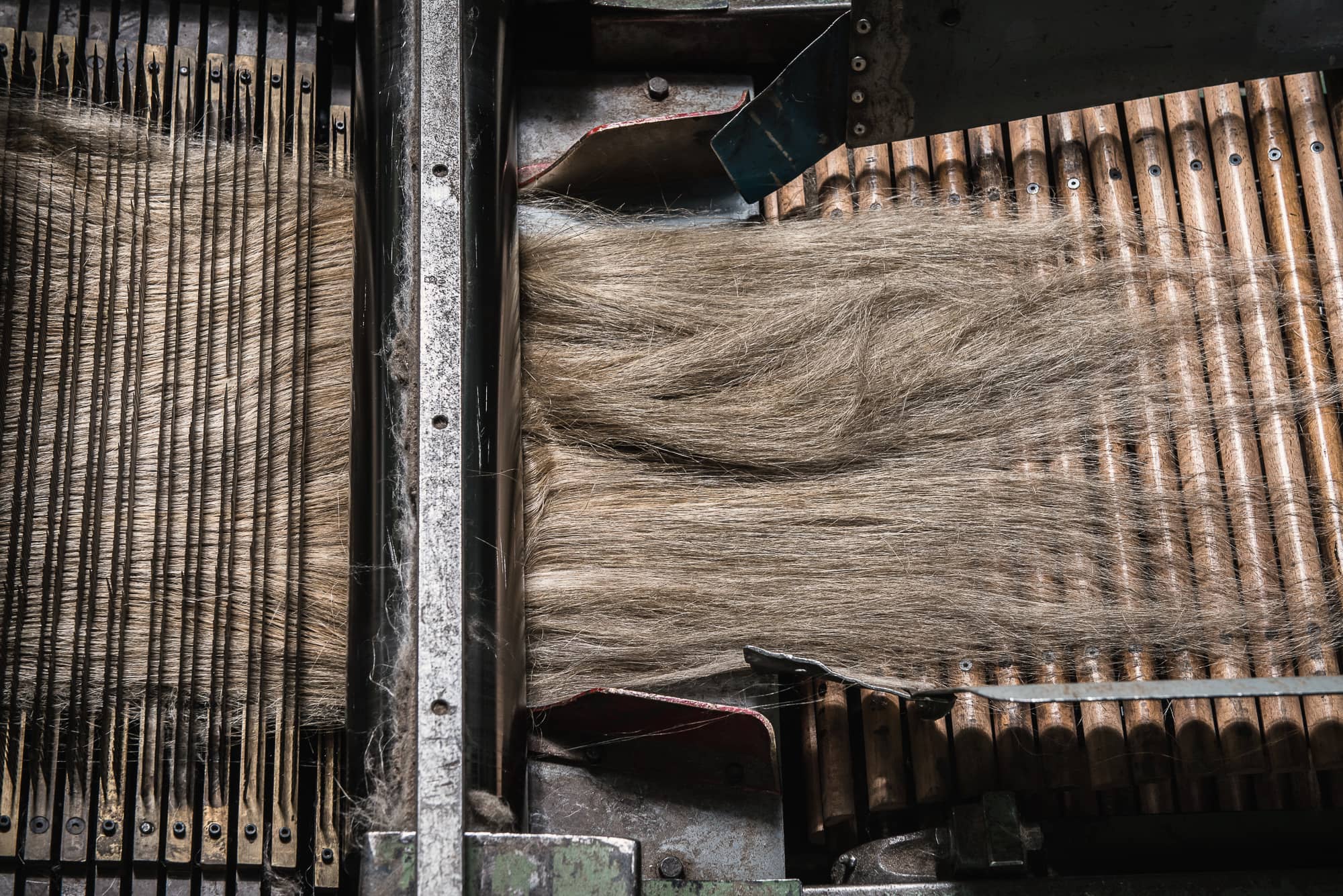 Flax fiber drawn through a hackling machine