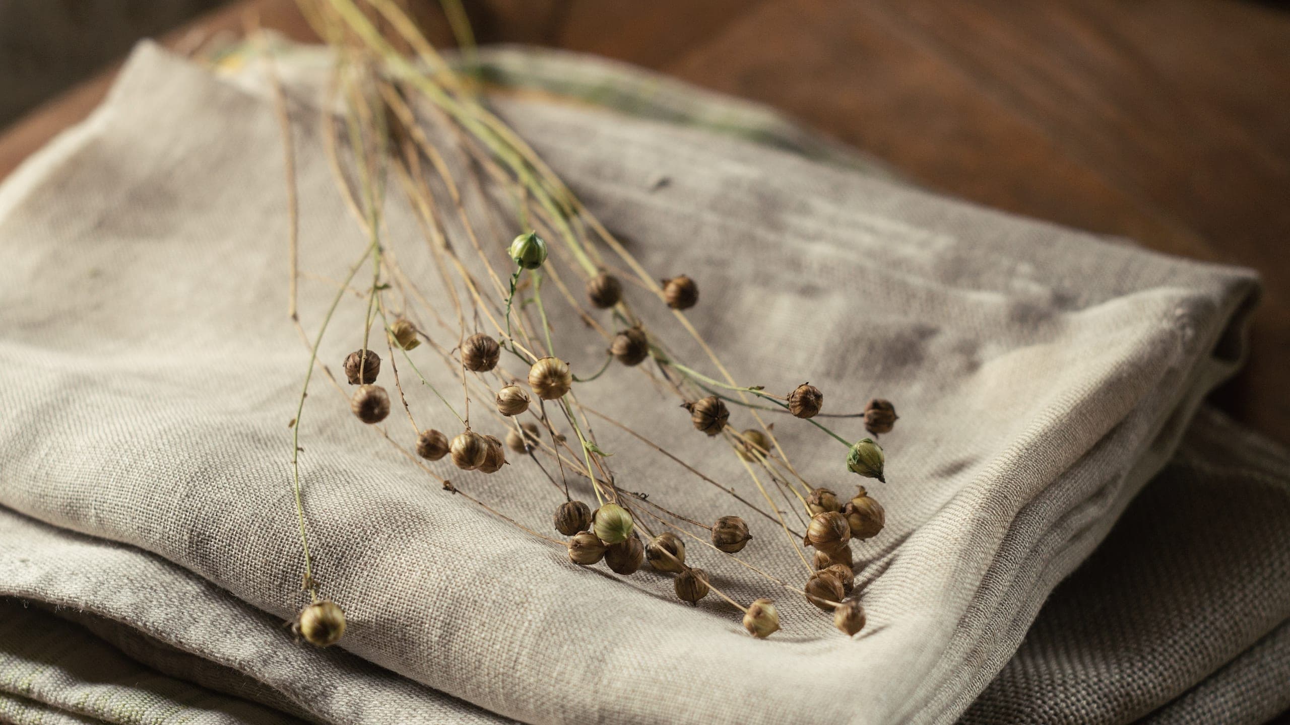 Dried flax seed heads on folded linen